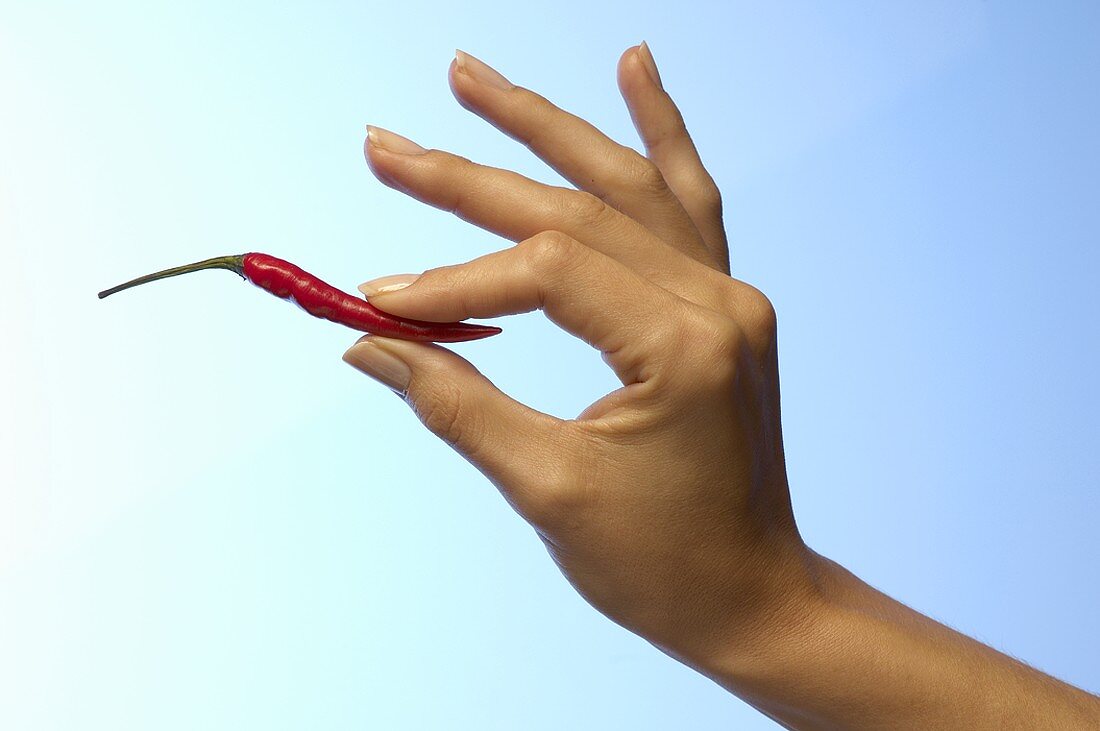Frauenhand hält kleine rote Chilischote