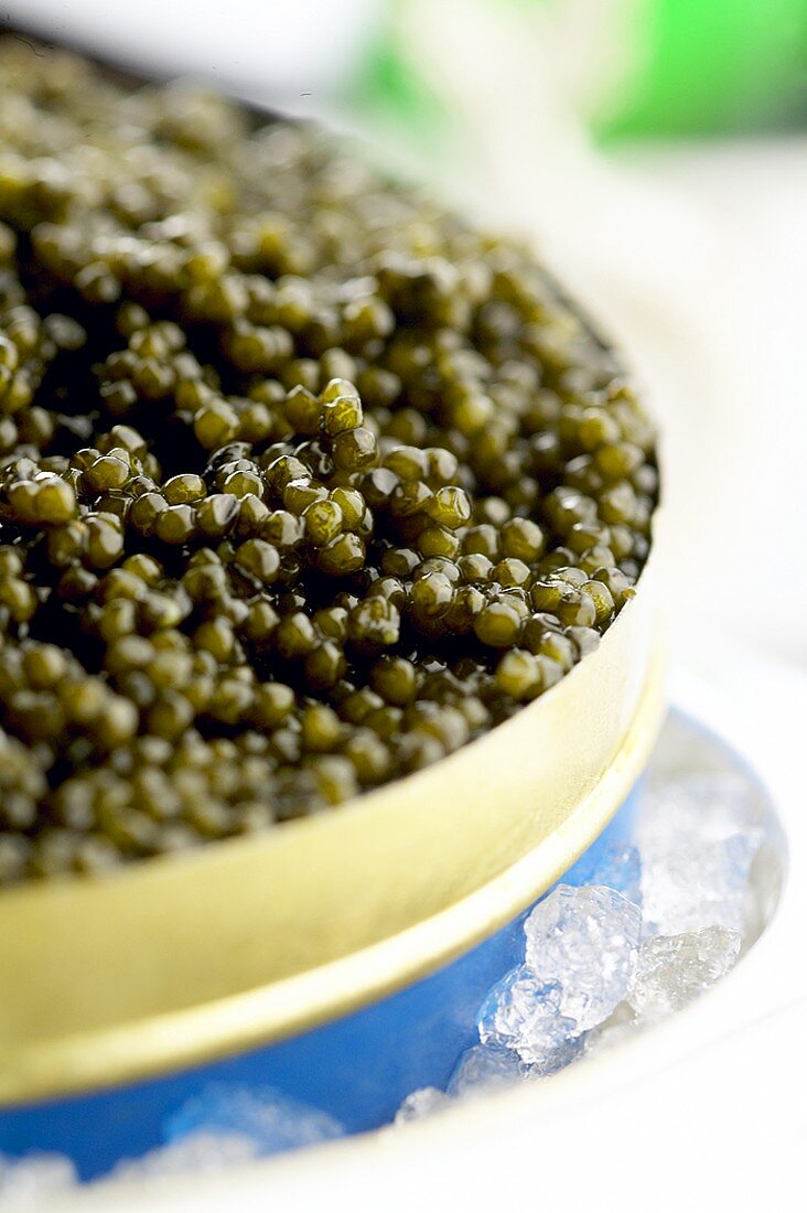 Kaviar in geöffneter Dose