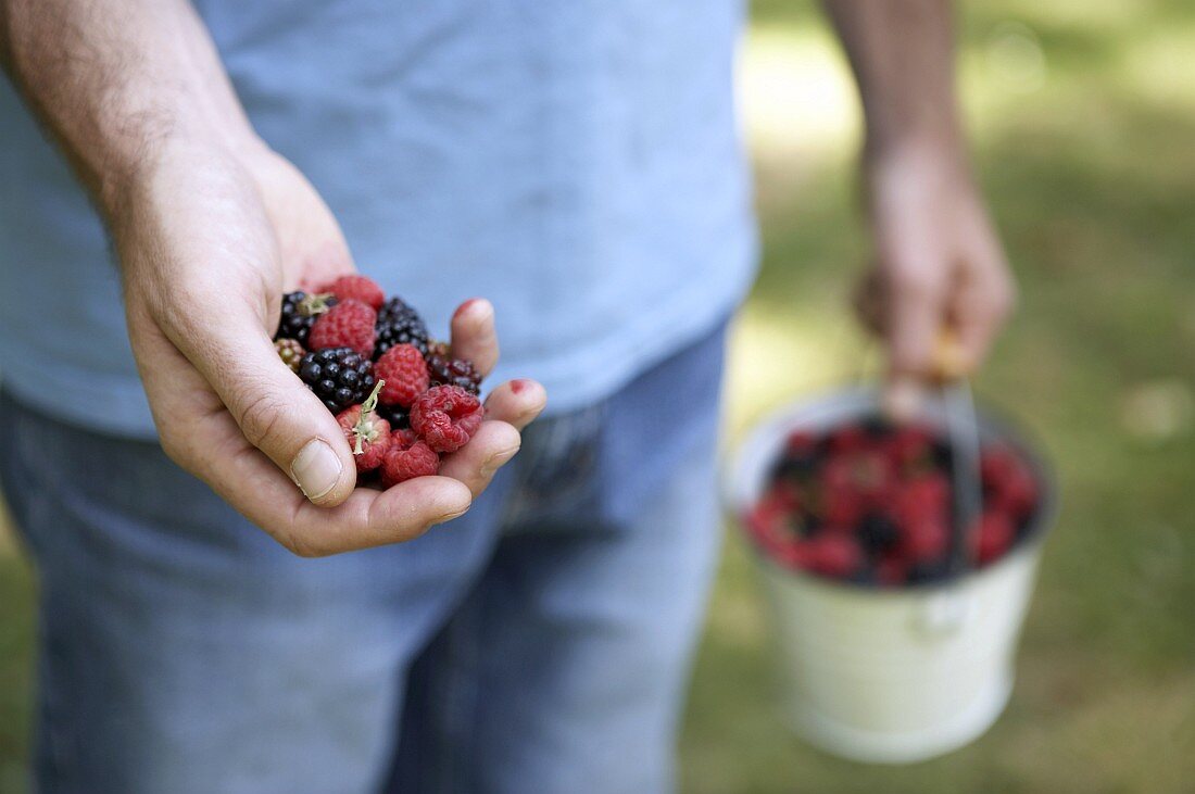 A handful and a bucketful of berries