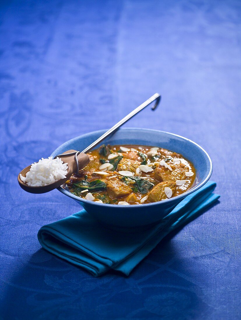 Turkey curry with a spoonful of rice