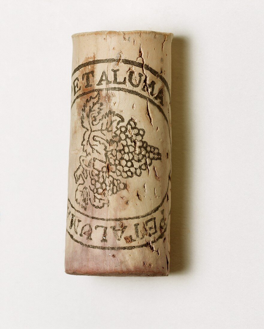 Wine corks from Petaluma cellar, Clare Valley, S.Australia