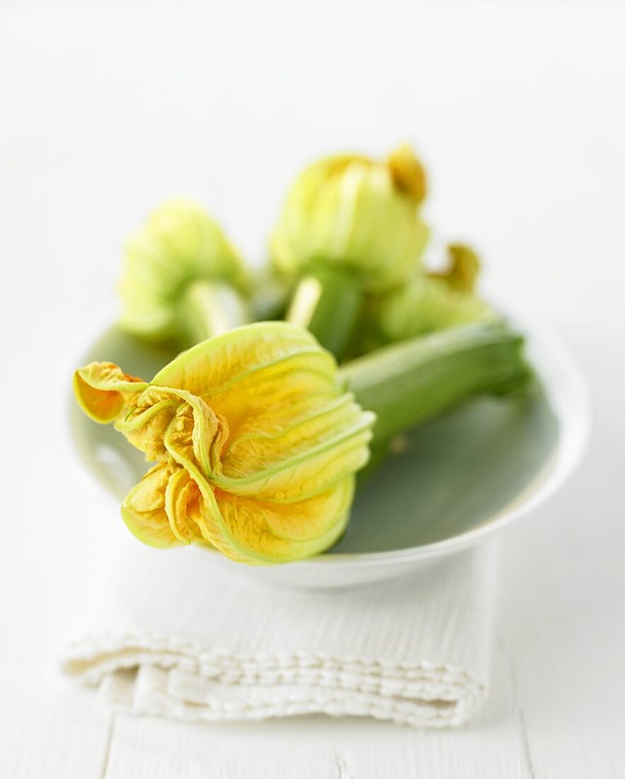 Mehrere Zucchini mit Blüten auf weisser Platte