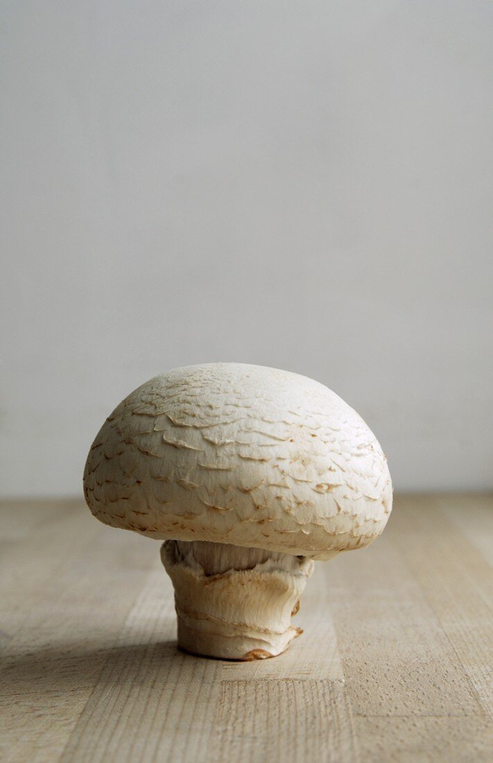 A mushroom on a wooden surface