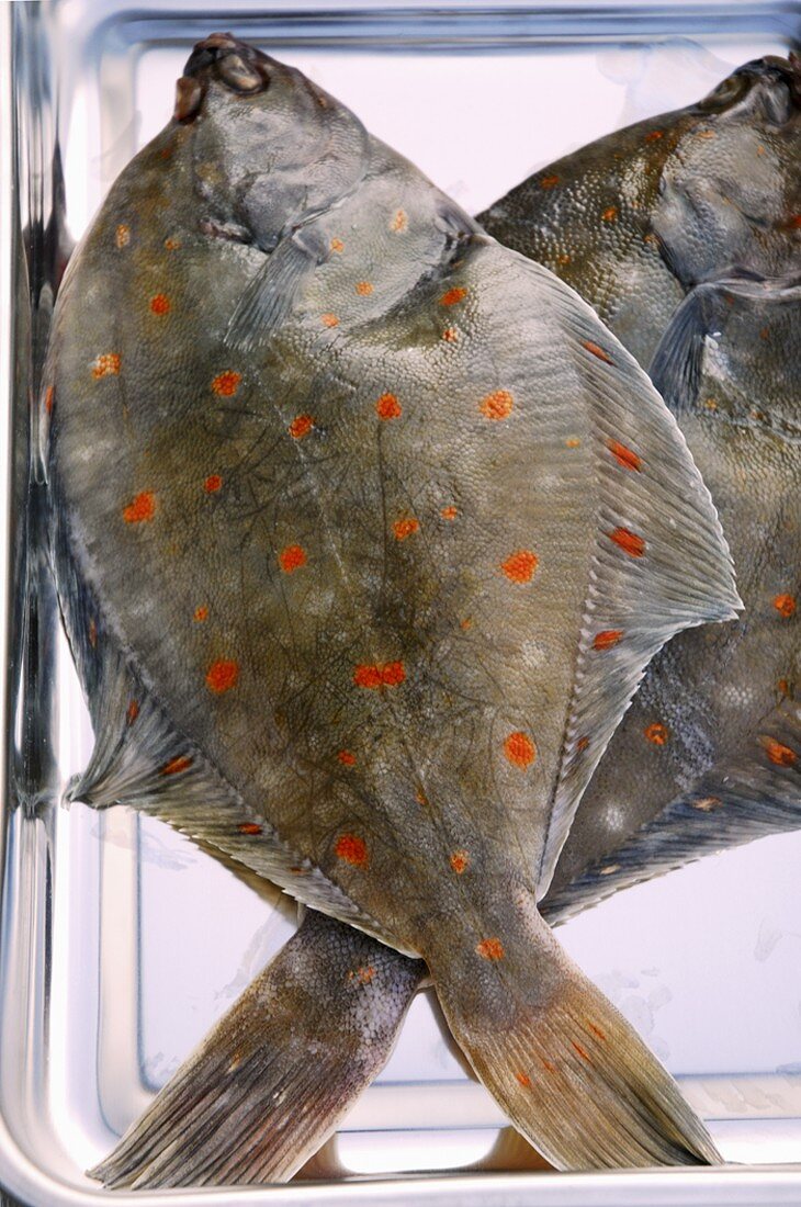 Two plaice on a metal platter