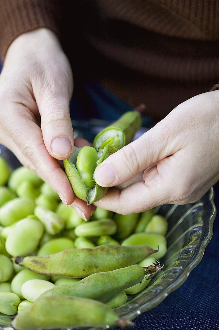 Woman shelling broad beans