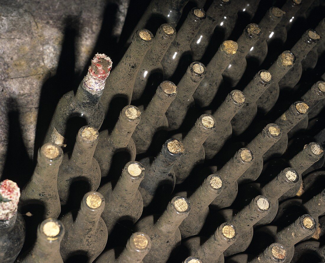 Old Chianti bottles, Il Poggio, Tuscany