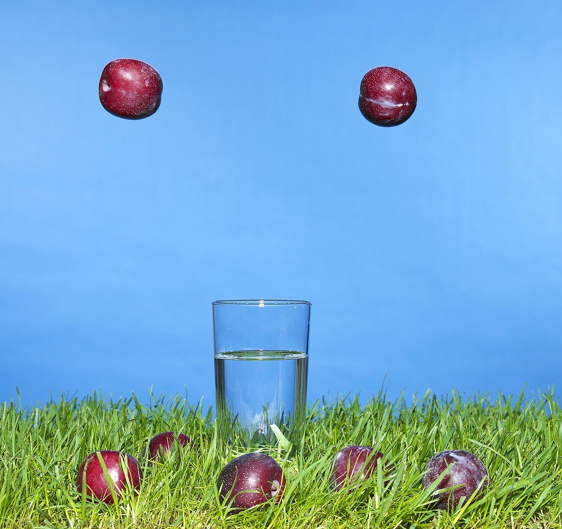 Plums falling on to grass, glass of water on the grass