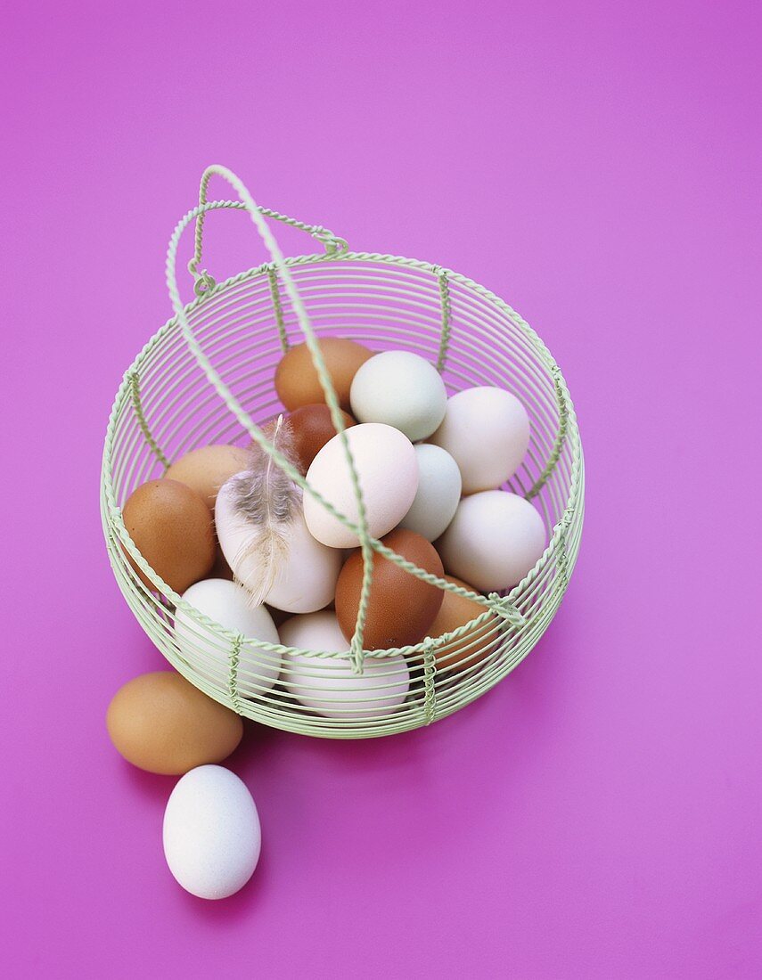 White, brown and blue eggs in a wire basket