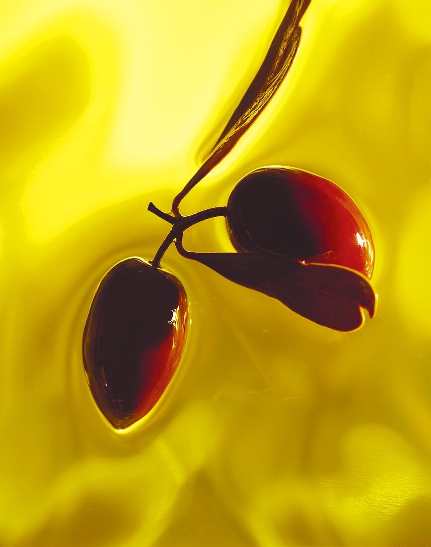 Two Olives in Olive Oil
