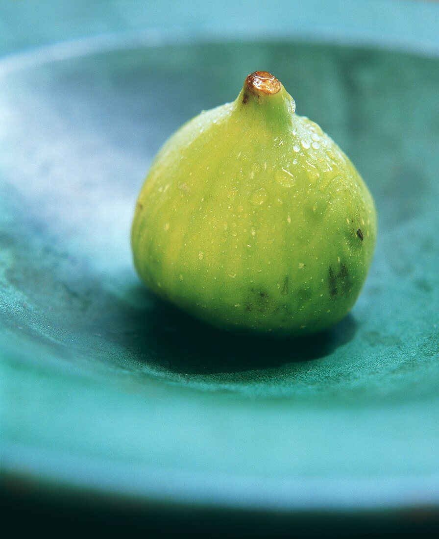 A Green Fig with Water Droplets