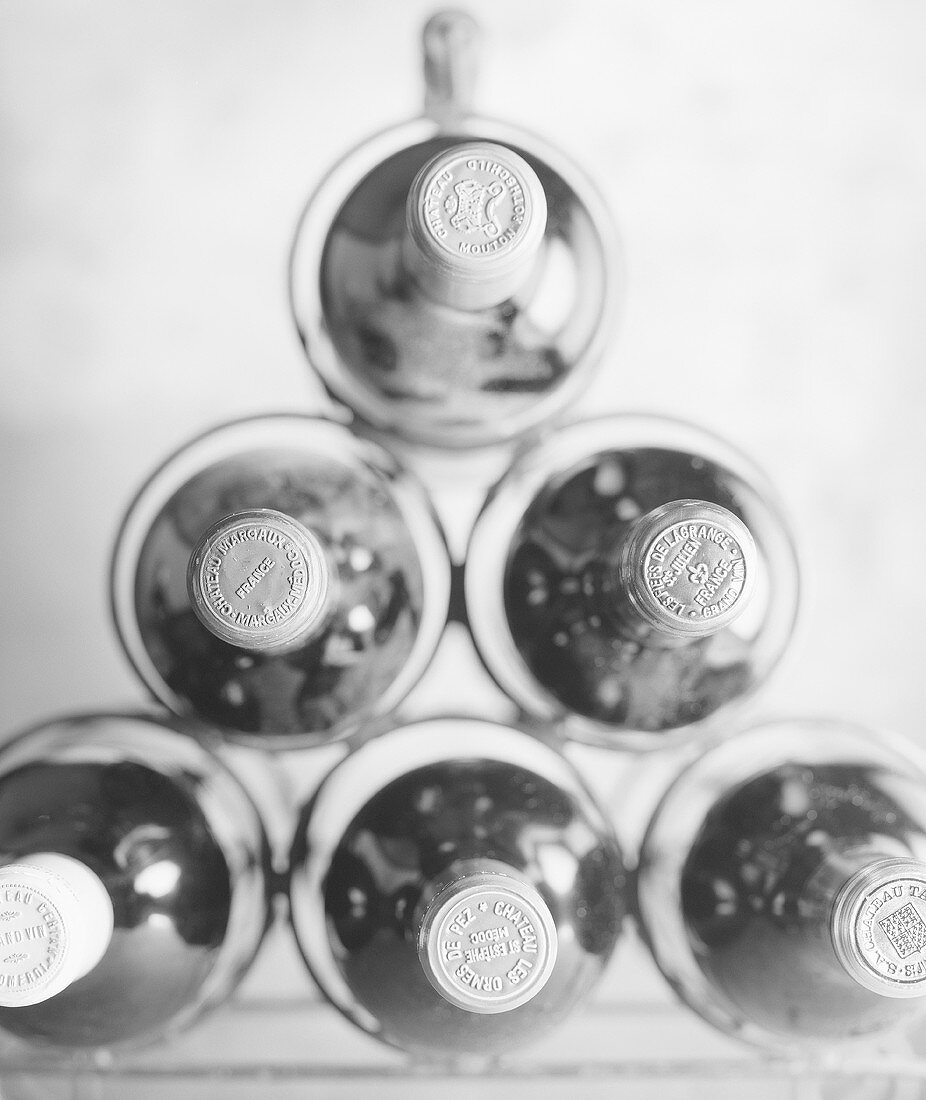 Weinflaschen aus Bordeaux in einem Weinregal (s-w-Negativ)