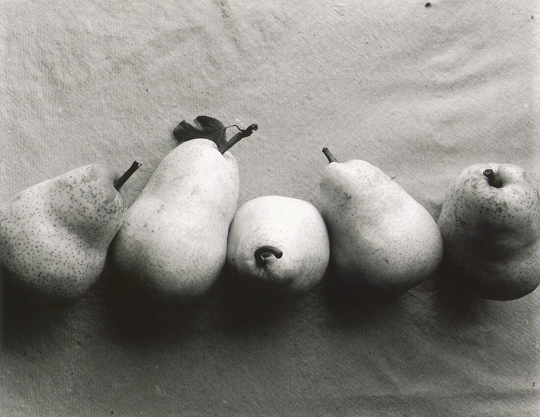 Five Williams pears (black and white photo)