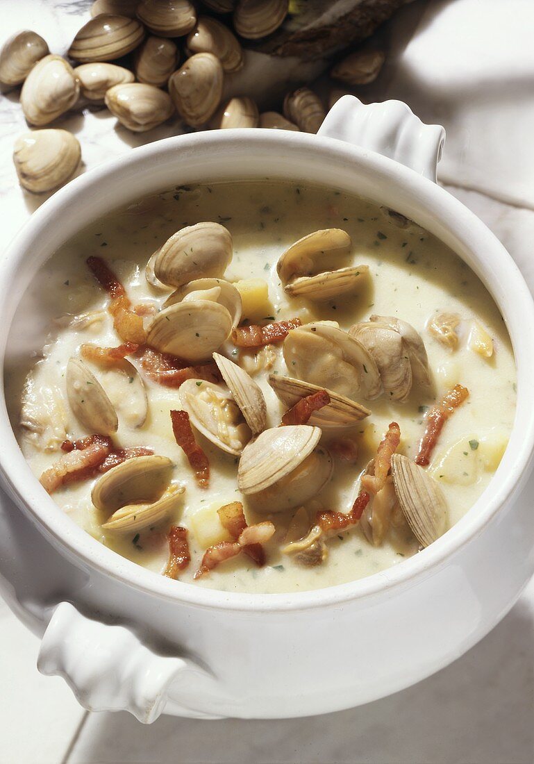 Clam Chowder