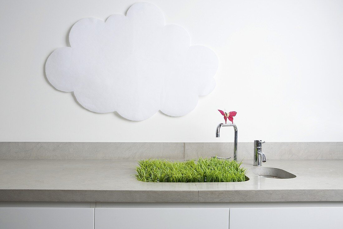 A butterfly on a tap and grass growing out of a sink