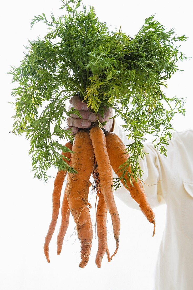 A man holding a bunch of carrots
