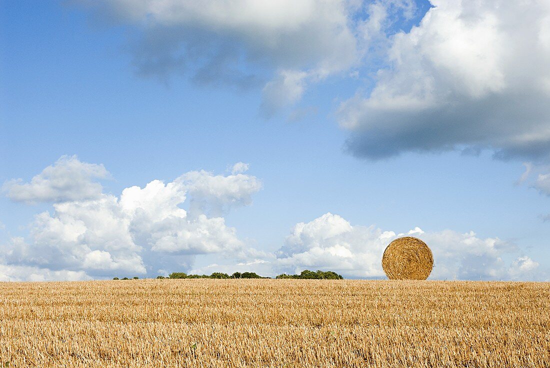 Heuballen auf einem Feld