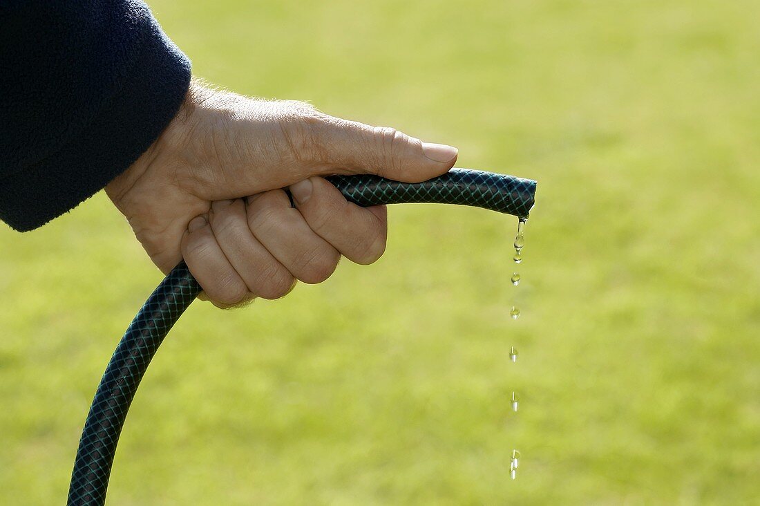 Wasser tropft aus einem Gartenschlauch