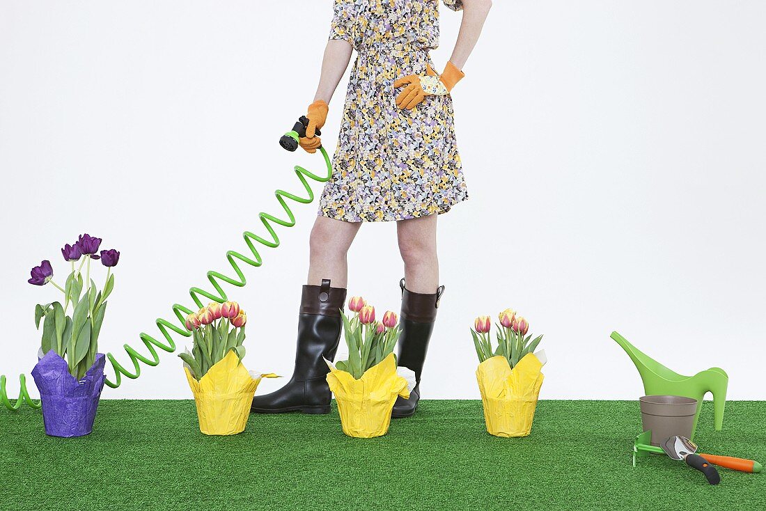A woman watering tulips on artificial turf