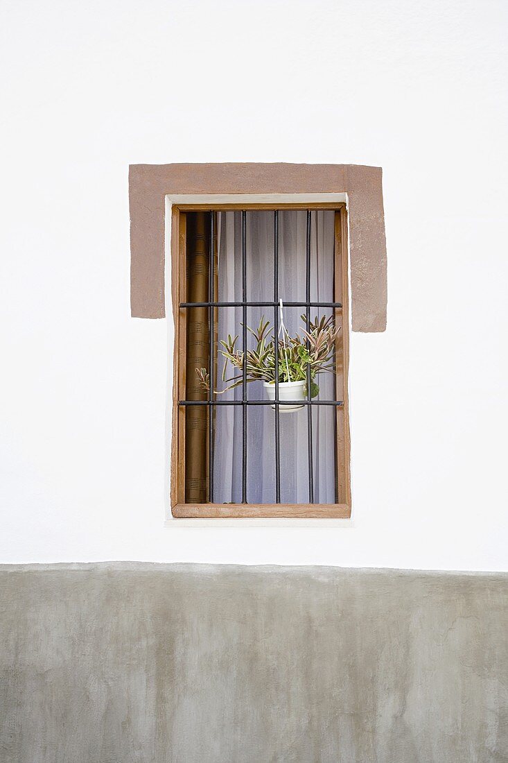 Blumentopf hängt am Fenstergitter
