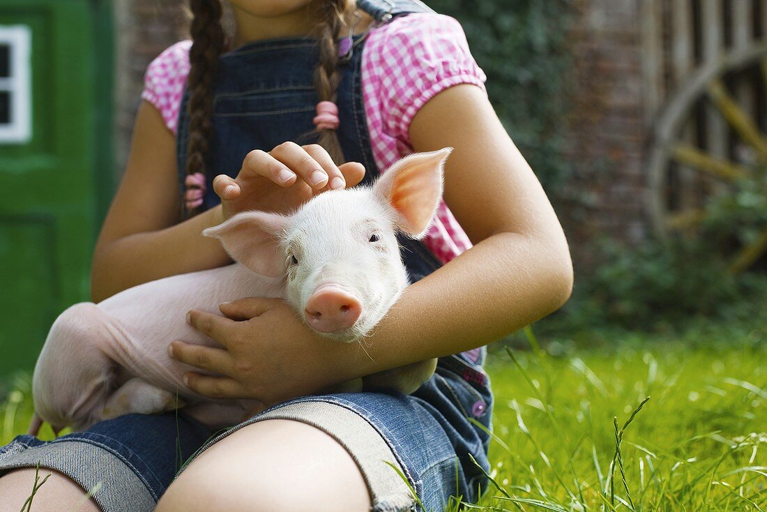 A girl holding a piglet