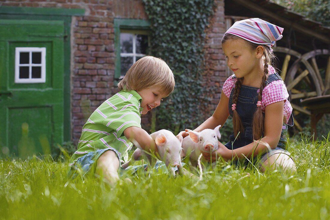 A brother and sister playing with piglets