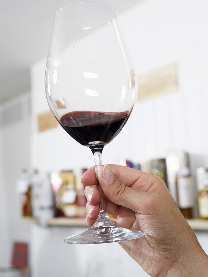 Hand hält ein Glas mit Rotwein