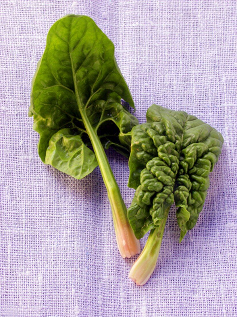 Fresh spinach leaves