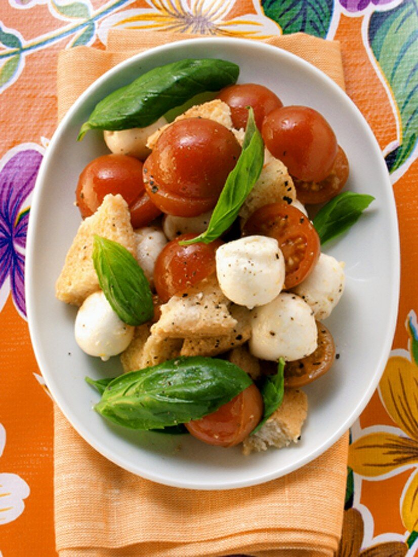 Bread salad with tomatoes, mozzarella and basil