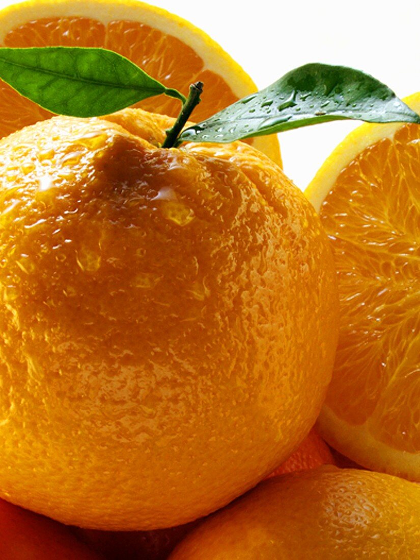 Orange vor Orangenhälften