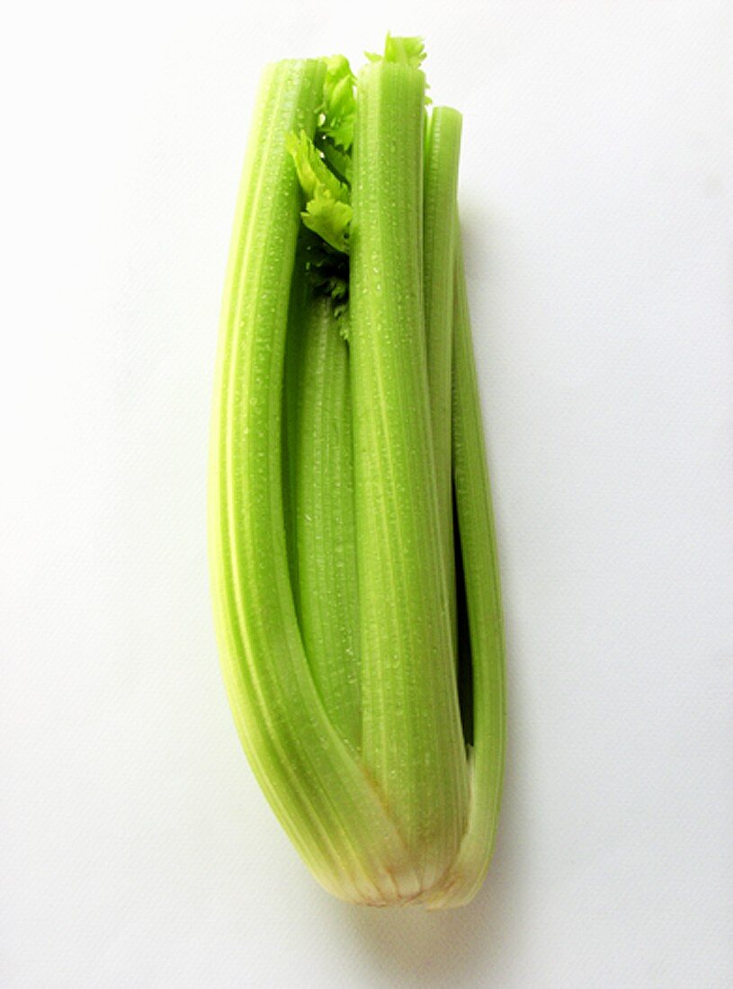 Celery