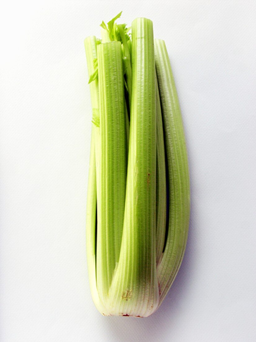 Celery