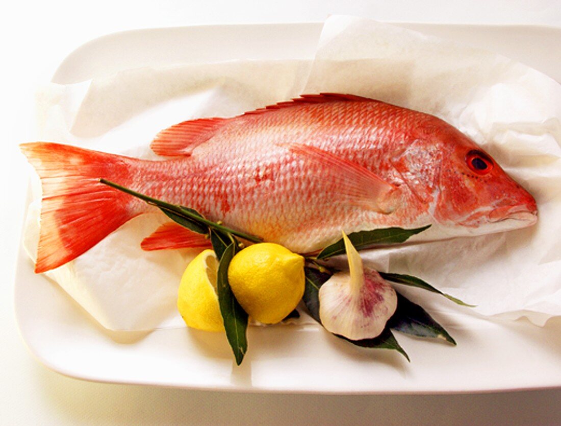 Red snapper on paper with lemon and garlic