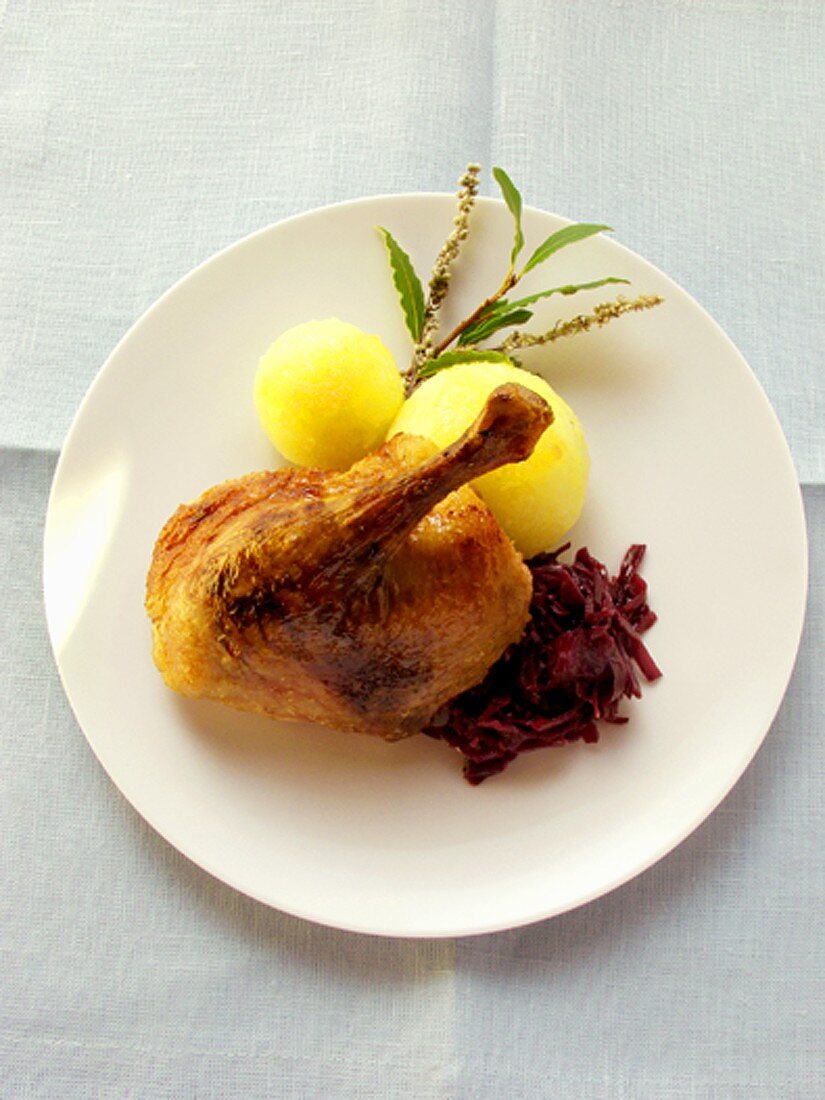 Duck with red cabbage and potato dumplings