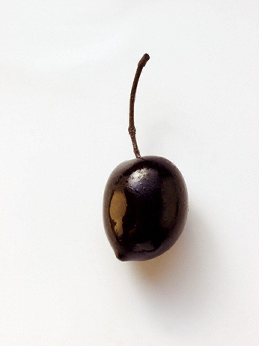 Schwarze Olive