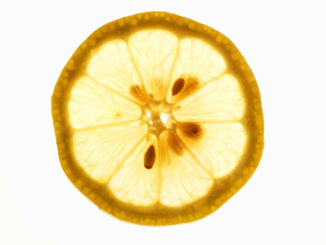 Slice of lemon