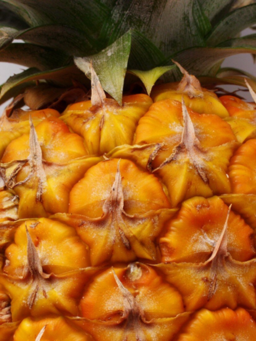 Pineapple (detail)