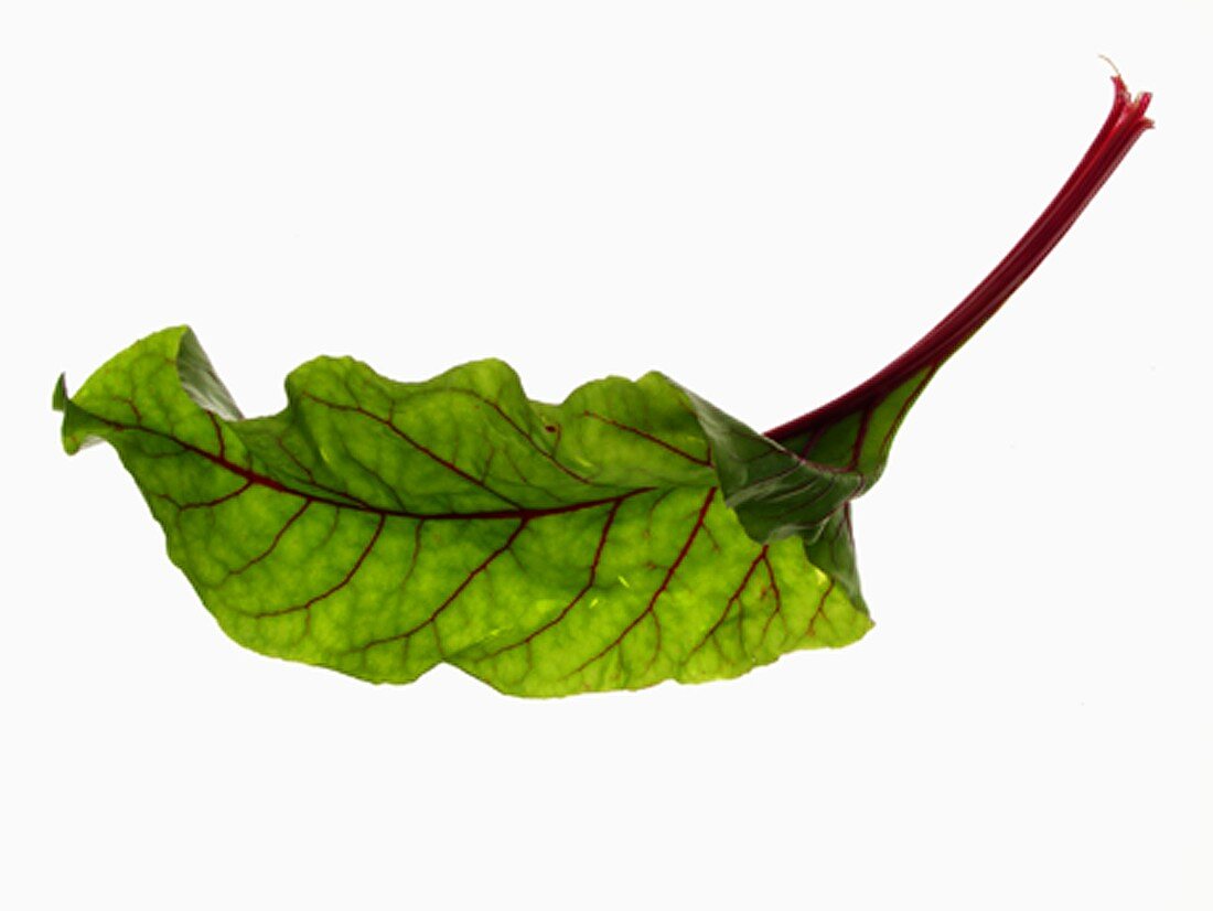 Beetroot leaf