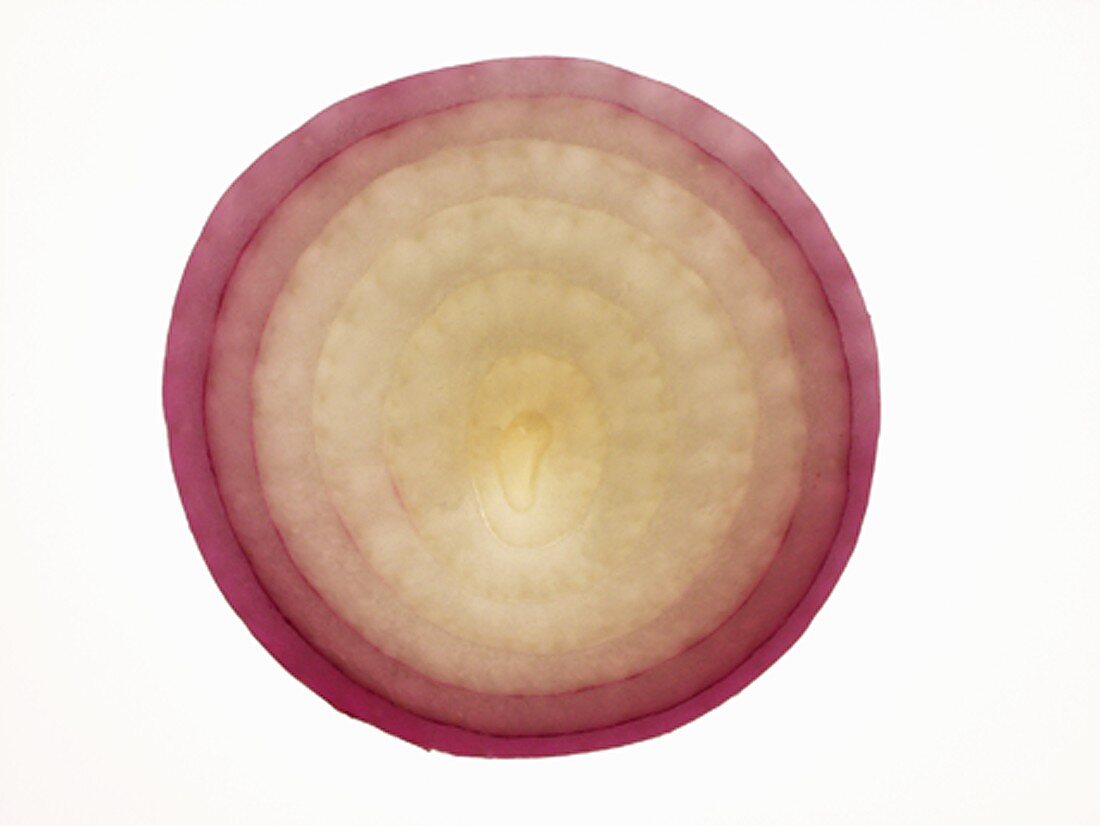 Red onion