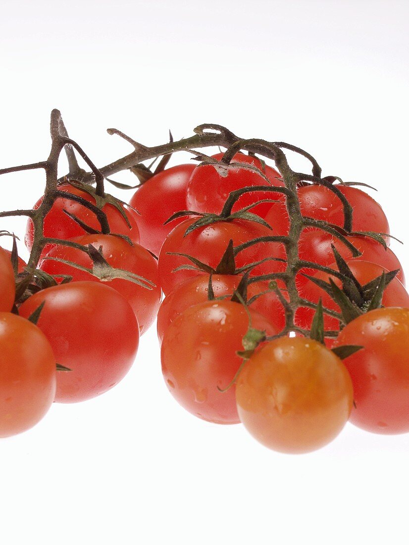 Kirschtomaten mit Wassertropfen