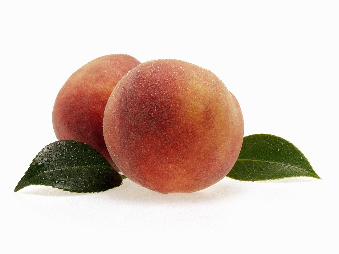 Two fresh peaches with leaves and drops of water