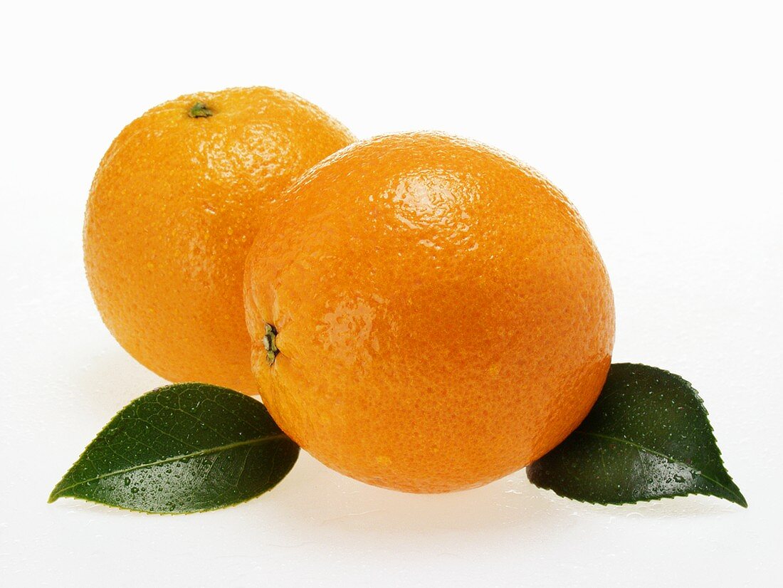 Oranges with leaves and drops of water