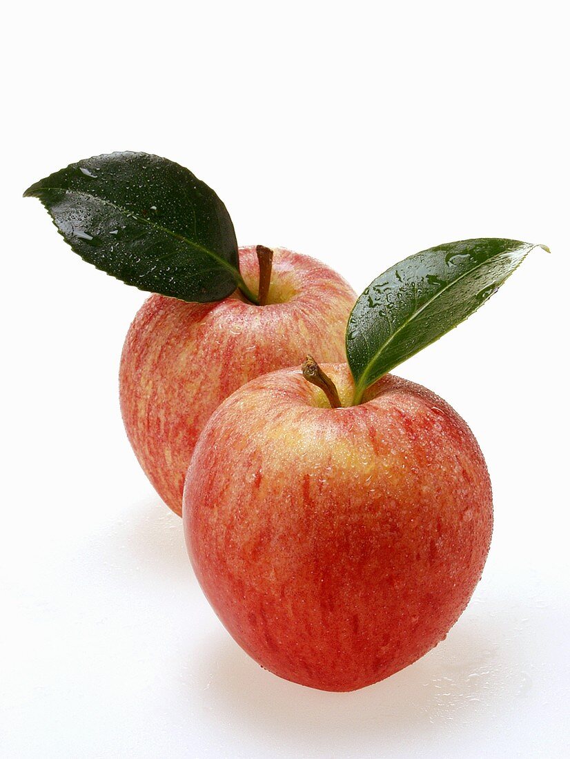 Two red apples with stalk, leaf and drops of water