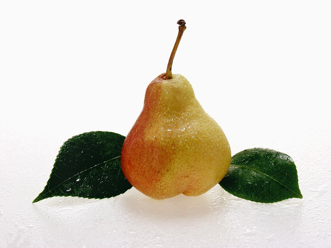 Pear with drops of water and leaves