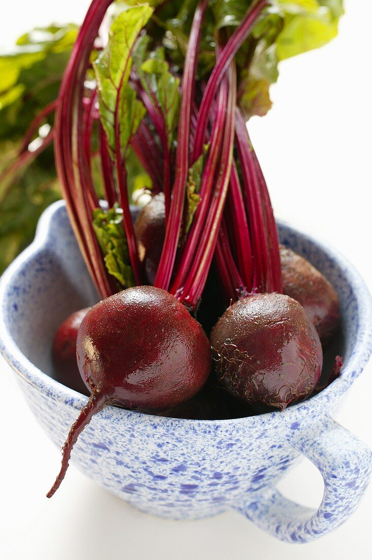 Beetroot with leaves in blue and white cup