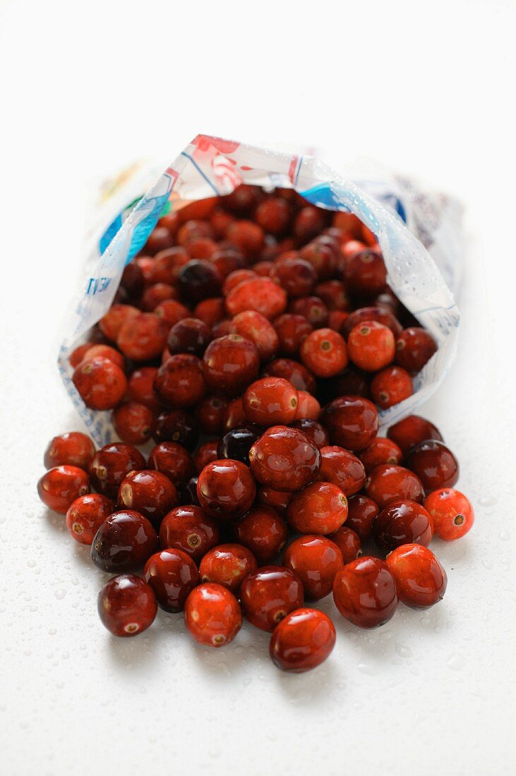 Fresh cranberries falling out of plastic bag