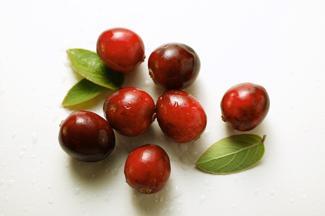 Cranberries with drops of water and leaves