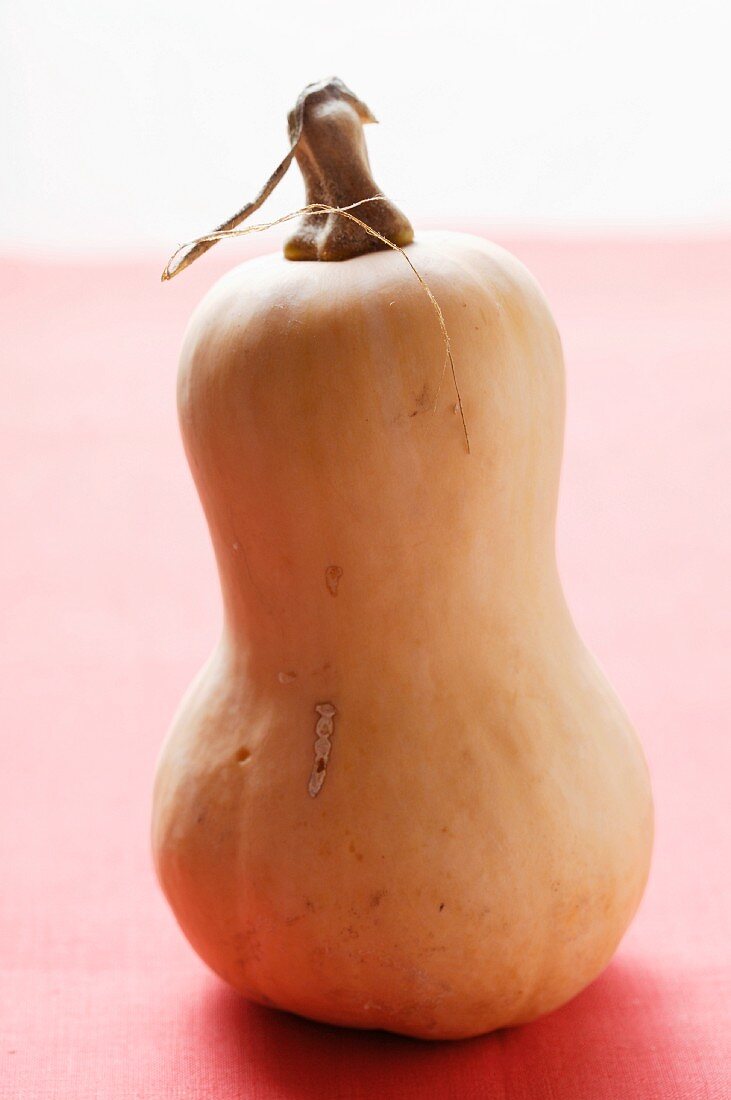 Butternut squash