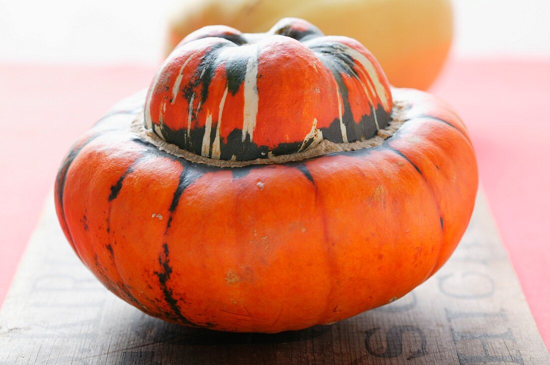 Speisekürbis, Sorte Türkenturban (Red Kuri Squash)