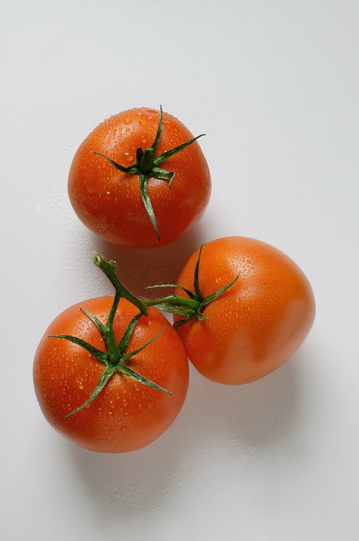 Fresh tomatoes with drops of water