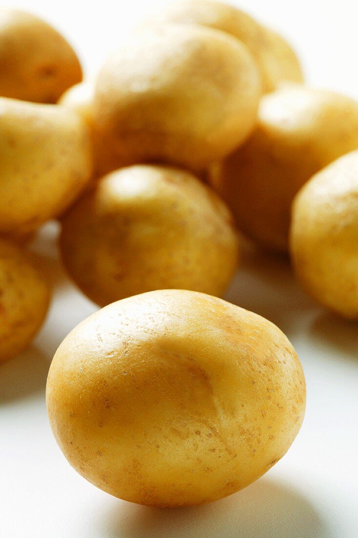 Yukon Gold Kartoffeln